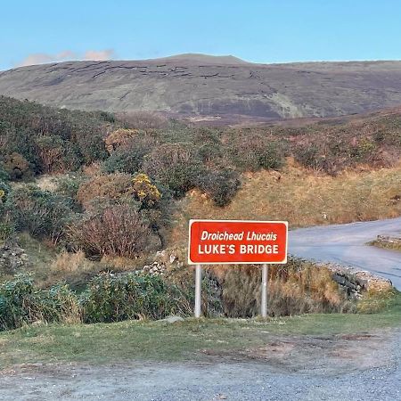 Grogagh Hill Cottage Sligo Eksteriør billede